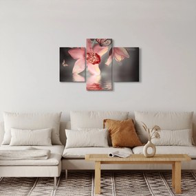 Tablou - Flori și fluture (90x60 cm)