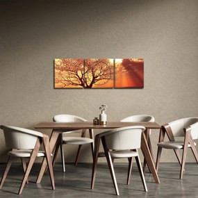 Tablou cu razele lui Dumnezeu (cu ceas) (90x30 cm)