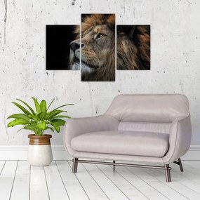 Tablou - Leul maiestuos (90x60 cm)