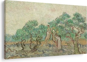 Tablou - Vincent van Gogh, The Olive Orchard, reproducere (90x60 cm)