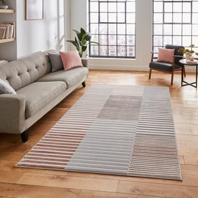 Covor roz/gri 220x160 cm Apollo - Think Rugs