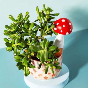 Irigator pentru plante din teracotă Mushroom – Sass &amp; Belle