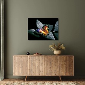 Tablou pe sticlă cu fluture (70x50 cm)