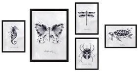 Tablouri 5 buc. Butterfly – Wallity