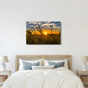 Tablou cu câmp în apus de soare (90x60 cm)