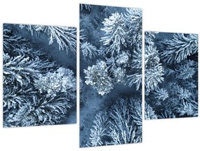 Tablou - Pădure înzăpezită (90x60 cm)