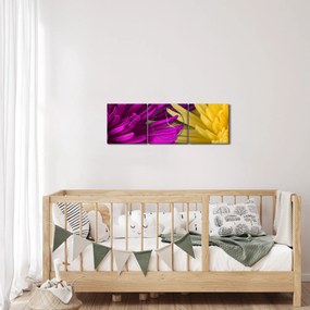 Tablou - detailu cu flori (cu ceas) (90x30 cm)