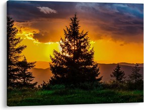 Tablou - coniferi (70x50 cm)