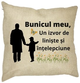 Perna Decorativa pentru Bunicul 6, 40x40 cm, Husa Detasabila, Burduf