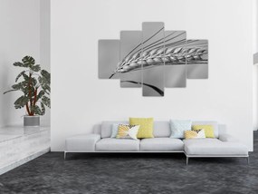 Tablou - Grâu,alb-negru (150x105 cm)