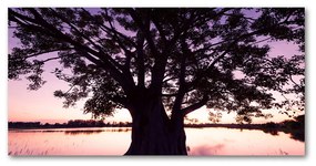 Pictura pe sticlă acrilică Copac și lacul