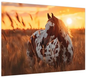 Tablou - Cal la Apus (70x50 cm)