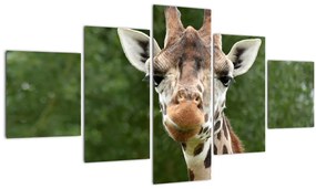 Tablou cu girafa (125x70 cm), în 40 de alte dimensiuni noi