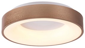 Plafoniera LED camera de zi, sufragerie, dormitor Carmella 5053 RX