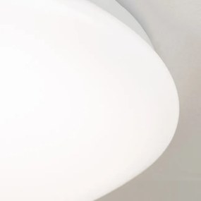 Plafoniera LED diametru 35cm, Nedo NU 9-387/35B opal OR