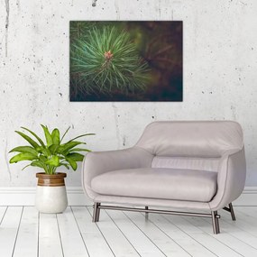 Tablou pe sticlă - Pin (70x50 cm)