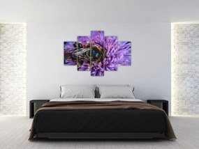 Tablou cu albina pe floare (150x105 cm)