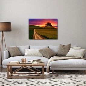 Tablou cu câmp și cerul colorat (70x50 cm)