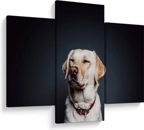 Tablou cu labrador (90x60 cm)