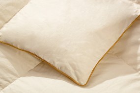 Pilota Pene Gasca Natural Classic
