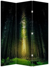 Paravan - Pădurea întunecată (126x170 cm)