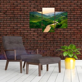 Tablou - Terase de orez II. (90x60 cm)