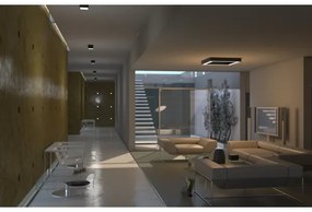 Plafonieră LED dimabilă CANTO LED/12W/230V albă Immax NEO 07072L-15