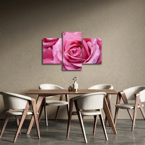 Tablou cu trandafir (90x60 cm)