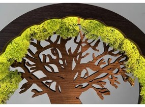 Li-Go 23604/DUB2 - Decorațiune de masă LED reglabilă, 12W/230V, 20x22 cm, finisaj stejar