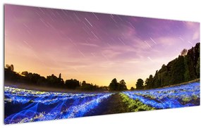 Tablou cu câmp colorat (120x50 cm)