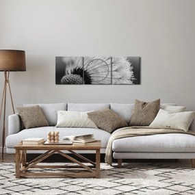 Tablou cu păpădie - albnegru (cu ceas) (90x30 cm)