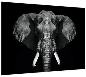 Tablou pe sticlă - Elefant pe fundal negru (70x50 cm)