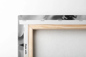 Tablou orhidee pe fundal abstract alb-negru