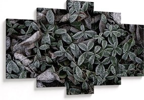 Tablou - Plante înghețate (150x105 cm)