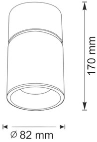 Spot NIXA 1xGU10/10W/230V negru