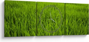Tablou cu iaraba (cu ceas) (90x30 cm)