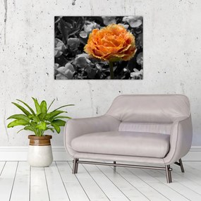 Tablou pe sticlă cu floare (70x50 cm)
