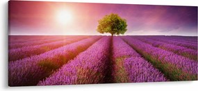 Tablou câmp cu lavandă (120x50 cm)