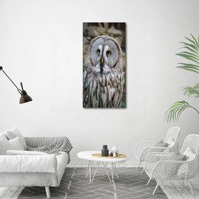 Print pe canvas Bufniţă