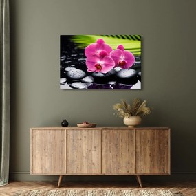 Tablou - Orhidee roz cu frunze de palmier (90x60 cm)
