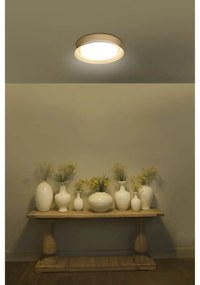 Lustra / Plafoniera LED design modern 45cm TENDER alba