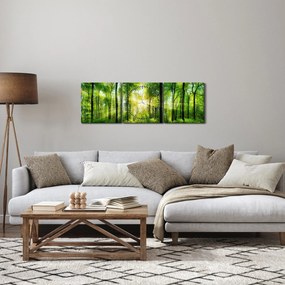 Tablou - Răsărit în pădure (cu ceas) (90x30 cm)