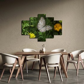 Tablou - fluture alb (150x105 cm)