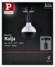 Paulmann 79760 - Plafonieră HALDOR 1xE27/20W/230V