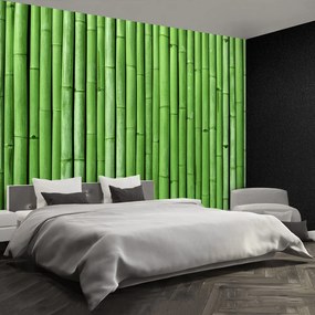 Fototapet Bamboo Green