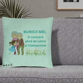Cadou pentru Bunici - Perna Personalizata Bunicii Mei Comoara Iubire Intelepciune Nepoata, 40x40 cm, Verde Menta, Husa Detasabila, Perna Inclusa, BEKZ®
