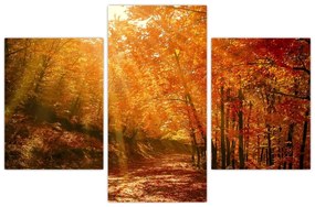 Tablou cu pădurea în toamnă (90x60 cm)