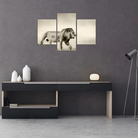 Tablou - Leul flămând (90x60 cm)