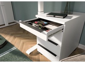 Dulap alb 42x63 cm Mailand – Germania