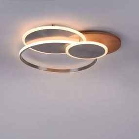 Plafonieră LED dimabilă PALMA LED/50W/230V Paul Neuhaus 8328-79 + telecomandă